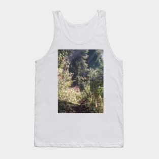 Monarchs of Mexico VI Tank Top